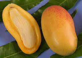 Maybe you would like to learn more about one of these? Island Tropical Fruit Merritt Island Fl