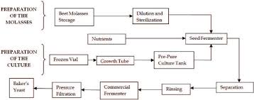 Process Flow Diagram For A Bakers Yeast Industry Download