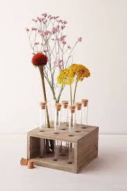 Porte Tube A Essai Fleuri Reageerbuizen Tafelschikking Gedroogde Bloemen