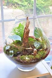 Terrarium Idea Terrarium Succulent Terrarium Garden Terrarium