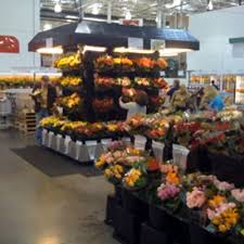 Their robust floral department stocks everything from roses to bouquets, hydrangeas to mini floral centerpieces. Costco Flowers Costcoflowers Twitter