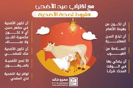 إنّّ شروط الاضحية من الغنم هي أن تكون في سنٍّ معتبرة، وأن تكون خاليةً من العيوب، والاضحية مشروعة بالذكور والإناث من الغنم الماعز والضأن، ومن الإبل، ومن البقر، كلها سنة مشروعة، سواء كان المضحى به من الذكور أو من الإناث، تيس أو كبش أو شاة أو بقرة أنثى أو بقرة ذكر، وهكذا البعير وهكذا الناقة كلها ضحايا شرعية، إذا كانت بالسن الشرعي جذع ضأن ثني معز، ثنية من البقر ثنية من الإبل. Ù…Ø¹ Ø§Ù‚ØªØ±Ø§Ø¨ Ø¹ÙŠØ¯ Ø§Ù„Ø£Ø¶Ø­Ù‰ 8Ø´Ø±ÙˆØ· Ù„ØµØ­Ø© Ø§Ù„Ø£Ø¶Ø­ÙŠØ©