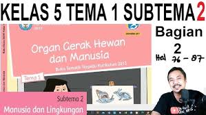 Kunci jawaban tema 1 kelas 5 halaman 142 sampai 156. Tema 1 Kelas 5 Sistem Gerak Hewan Dan Manusia Subtema 3 Bagian 3 Hal 142 155 Youtube