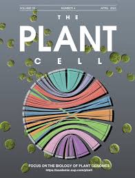 We did not find results for: Plantae Focus Issue Focus On The Biology Of Plant Genomes Plant Cell Plantae