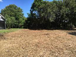 • low ground pressure so there is minimum to no ground disturbance • eliminates. Land Clearing Land Clearing Forestry Mulching Services Palm Beach