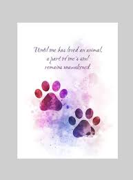 Paw Prints Animal Quote Art Print Cat Dog Pet Love Etsy In 2020 Art Prints Quotes Magical Quotes Art Quotes