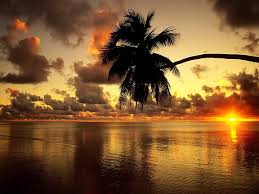 Beautiful, free images gifted by the world's most generous community of photographers. Hd Wallpaper World S Most Beautiful Beach Silhouette Of Palm Tree Nature Wallpaper Flare