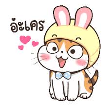 soidow cat animated 2 animation cats hello kitty