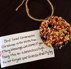 Pin By Amber G On Holiday Bird Seed Ornaments Diy Teacher Gifts Bird Seed