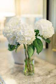 Pin On All Home Inspiration