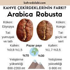 arabica vs robusta kahve kafein tatli