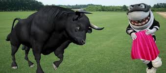 And in all of this have fun baiting the enemy to waste all of his shots while you have your ult ready to laugh in their face. Sharks Vs Bulls Funny Pics Funny Quotes About Bull Quotesgram About 7 005 Results 0 52 Seconds Julianpij Images