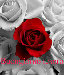 Buongiorno Tesoro Buongiorno Buongiorno Saluti Buongiorno Bellissimo