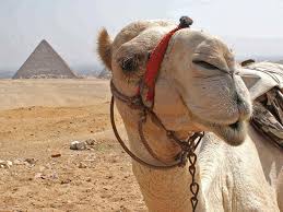 It doesnt say it is more difficult for a camel to be threaded through the eye of a needle. Easier For A Camel The1way