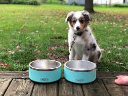This is a place to post trades, find new friends, and discuss all things star wars card trader! Yeti S New Bowls Photo Credit Reddit User Loosecoosebbq86 Dog Bowls Yeti Dog Bowl Puppies