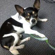 Susan Malley (susanmalley)