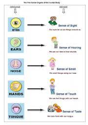 1 Sense Organs For Kids Five Senses For Preschool And