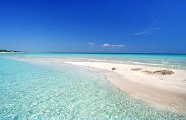 Affidabilità al 100%, assistenza puntuale e servizi eccellenti; Puglia Vacanza It Il Portale Turistico Della Puglia Case Vacanze 2021 Appartamenti In Affitto 2021