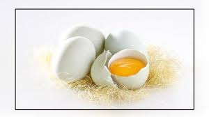 Maybe you would like to learn more about one of these? 11 Hal Dari Telur Bebek Yang Membuatnya Unggul Dari Telur Ayam Halaman All Tribun Manado