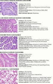 Developing ovarian cancer becomes more of a risk after menopause, even though this transition isn't considered a cause of cancer. Ovarian Cancer Molecular Classification And Targeted Therapy Intechopen