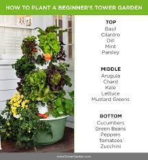 Maybe you would like to learn more about one of these? 15 Easy Plants New Gardeners Should Grow