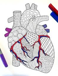 Maybe you would like to learn more about one of these? Heart Human Anatomy Pdf Coloring Page Etsy