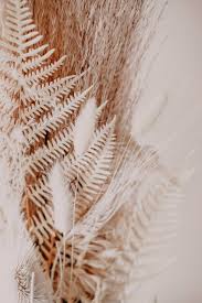 Deko Trend Trockenblumen Die Schonsten Blumen Und Strausse In 2020 Beige Aesthetic Wallpaper Plants
