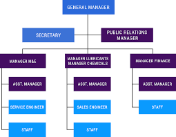 Organization Chart Omsc