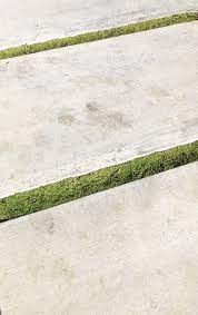 We did not find results for: Hardscaping 101 Ground Covers To Plant Between Pavers Gardenista