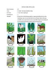 Peduli terhadap makhluk hidup subtema 1. Lembar Kerja Siswa Tema 3