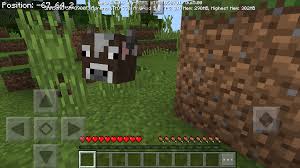 Fixed an issue where the player could generate infinite structures. Mcpe 34385 Every Mob And Entity Is Partially Invisible Jira