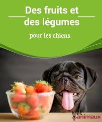 Des Fruits Et Des Legumes Pour Les Chiens My Animals Alimentation Chien Nourriture Chien Alimentation