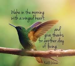 Pin By Quotes Yard On Praise In 2020 Morning Inspirational Quotes Good Morning Quotes Morning Gratitude