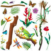 Check spelling or type a new query. Various Tropical Amazon Rainforest Plants And Animals Clipart Images
