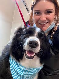 Ruff Around The Edges Grooming