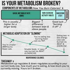 Diet Breaks 101 What Why How