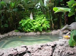 Allow us here at travelocity to pair you with up sungkai hotels that suit your vacation preferences. Sungai Klah Hot Spring Tempat Menarik Di Perak Tempat Menarik