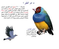 معلومات عن الطيور الكاتب Etacha السلام عليكم ورحمة الله وبركاته معلومات عن الطيور إذا نظرت إلى أشكال مناقير الطيور فإنك ترى أن ثمة أغراضا حقيقي ة وراء الأفواه الواسعة والمناقير الطويلة والقصيرة إذ أن لشكل الفم دورا هاما في حياة الطائر وفي نوع غذائه وتؤثر