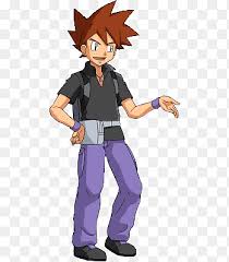 On dark brown hair, guys will generally find light brown highlights work better than blonde. Pokemon Brown Haired Male Anime Character Png Pngegg
