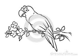 Cartoon Bird On Tree Drawing Parrot Coloring Pages Cartoon Illustration Cartoon Illustration Illustration Coloring Pages