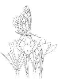 Find this pin and more on butterfly coloring pages by coloring page land. Butterfly Under Flowers From The Coloring Book Butterfly Garden By Emma L Williams Image Wit Butterfly Coloring Page Insect Coloring Pages Coloring Pages