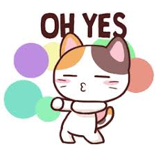 Kami berbagi informasi tentang drama korea atau film korea. Meong The Meme Cat Mini Pack Stiker Line Line Store