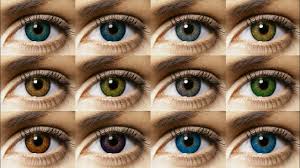 Besides good quality brands, you'll also find plenty of discounts when you shop for colored contacts lenses during big sales. Best Colored Contact Lenses Not Dioptric The Best Of 2019 Reviews