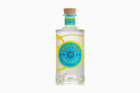 The long list of botanicals used in making this german gin is extensive, but. 15 Best Gin Brands In The World Gins You Have To Try 2021 Update