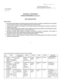 C) proiecte în cadrul programelor de reformă coordonate de i.ş.j./ m.ed.c.i; Plan Managerial Ceac 1 Docx