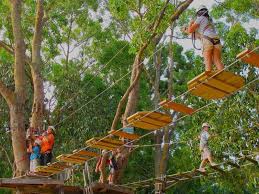 Best hollywood forest adventure movies in tamil dubbed are listed in this video. Forest Adventure In Singapore My Guide Singapore