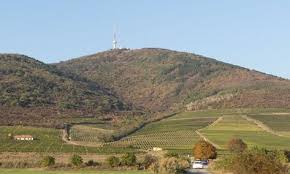 Pin Auf Tokaj Weinegion Tokajer Tokaji Aszu