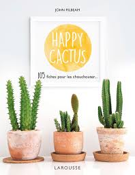 Originaires du continent américain, les cactus sont des plantes succulentes ne nécessitant pas un entretient trop important mais qui apportent un coté graphique et sauvage à un jardin. Amazon Fr Happy Cactus Pilbeam John Livres