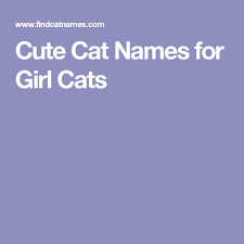 Names Girl Cat Names Cat Names Cute Cat Names