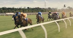 Find online exclusives and the largest assortment of jocky underwear. Top 10 Horse Racing Films